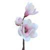 Gałązka KWIAT MAGNOLII 45cm biały+różowy - obrazek 3