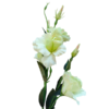 Gałązka EUSTOMA 82cm zielony - obrazek 4